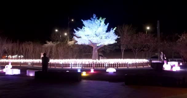 Night View Jinhaeru Light Street Changwon Gyeongnam Zuid Korea Azië — Stockvideo