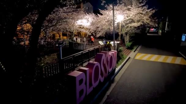 Landschap Van Yeojwacheon Stream Jinhae Changwon Gyeongnam Zuid Korea Azië — Stockvideo