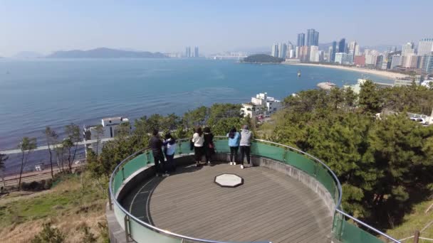 Krajobraz Dalmaji Wzgórza Obserwatorium Haeundae Plaży Busan Korea Południowa Azja — Wideo stockowe