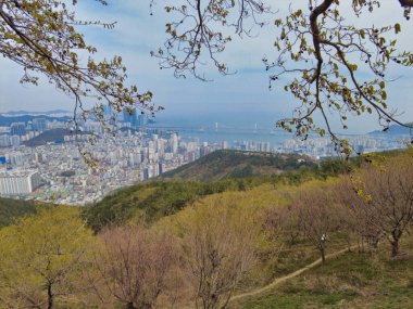 Hwangryeongsan Dağı Bongsudae fenerleri, Busan, Güney Kore, Asya.