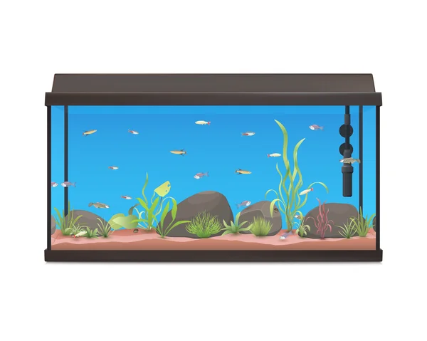 Aquarium with fishes stones and plants. — Stock Vector