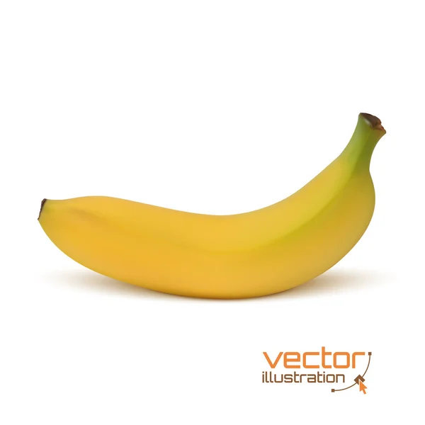 Ícone de banana realista, isolado no fundo branco . — Vetor de Stock