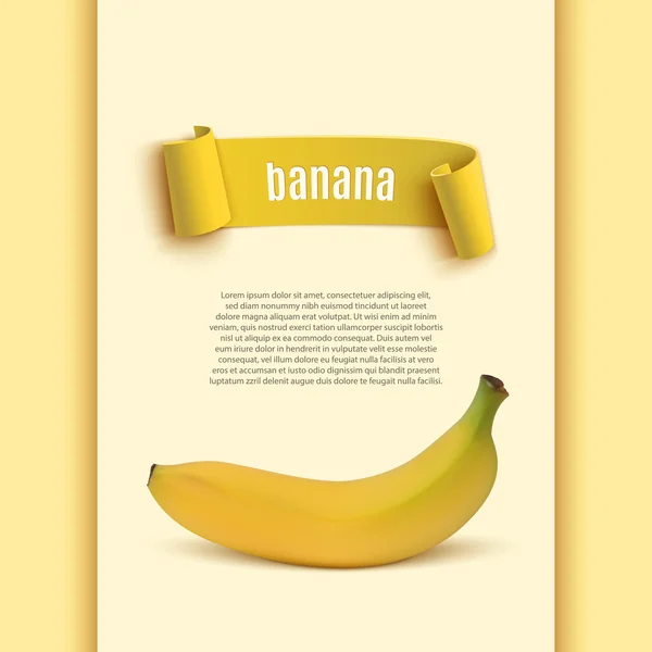 Fondo con plátano realista . — Archivo Imágenes Vectoriales
