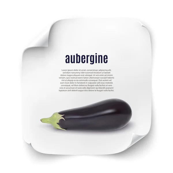 Latar belakang dengan aubergine realistis . - Stok Vektor