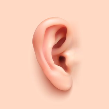 Background with realistic ear. clipart