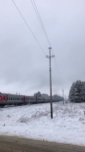 Tren RZD ruso paseos en tren de invierno. Bosque de pino nevado. — Vídeos de Stock