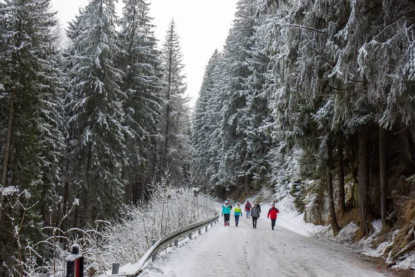 2018 Zakopane Polonia Camino Sendero También Carruajes Tirados Por Caballos —  Fotos de Stock