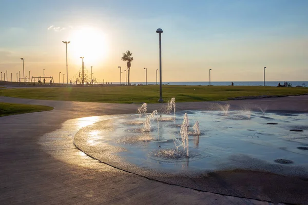 Jardin Près Côte Tel Aviv Coucher Soleil Fontaine Herbe Prairie — Photo