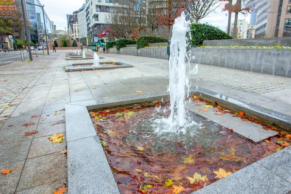 Calle Bruselas Con Borrosa Personas Movimiento Vegetación Increíble Decoración Natur —  Fotos de Stock