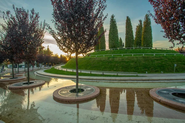 Awe Otoño Parque Krasnodar Krasnodar Llamado Parque Galitskogo Árboles Con —  Fotos de Stock