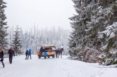 Kış patikası ve at arabası. - İnsanlar. Morski Oko Gölü 'ne giden yol. Doğa Tatra rezervi. Sisli Kış Günü.