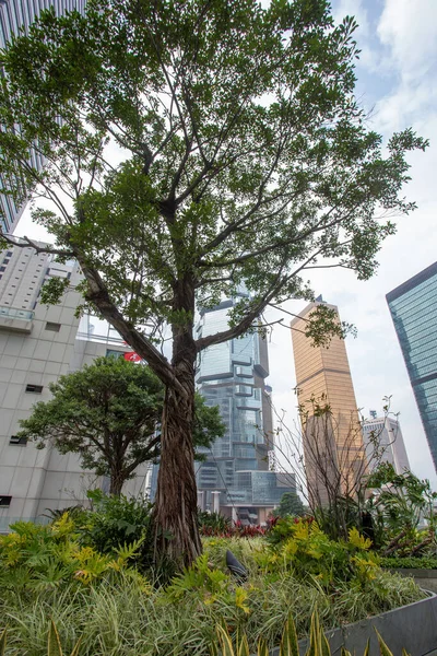Jardim Artificial Segundo Andar Hong Kong China — Fotografia de Stock
