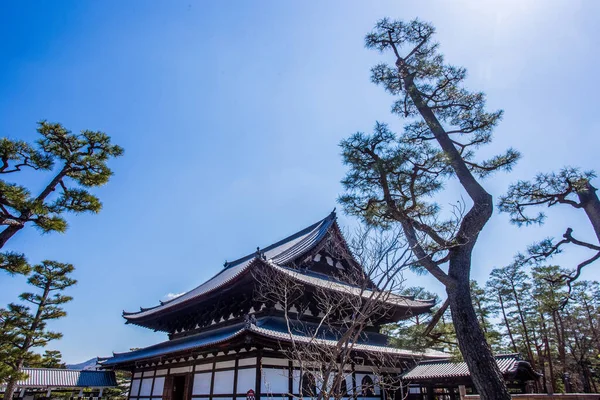 Úžasná Pagoda Kjótu Borovice Náboženský Buddhismus Jaro Brzy Sakura — Stock fotografie