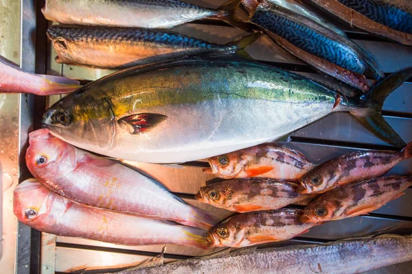 Fresh Tuna Mackerel Other Types Fish Small Fish Stall Kyoto — Stock Photo, Image