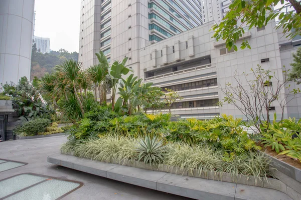 Κήπος Στο Δεύτερο Όροφο Στο Νησί Του Χονγκ Κονγκ Κεντρική — Φωτογραφία Αρχείου