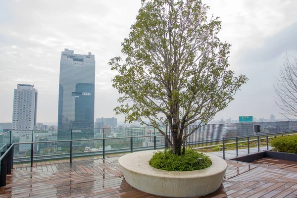 Bänk Runt Träd Våningen Flera Våningar Byggnad Osaka Och Panorama — Stockfoto