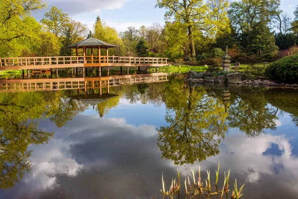 Wooden pavilion on wooden bridge in japanese garden in Wroclaw , Poland. Pond and island with topiary trees. End of April- sakura time!