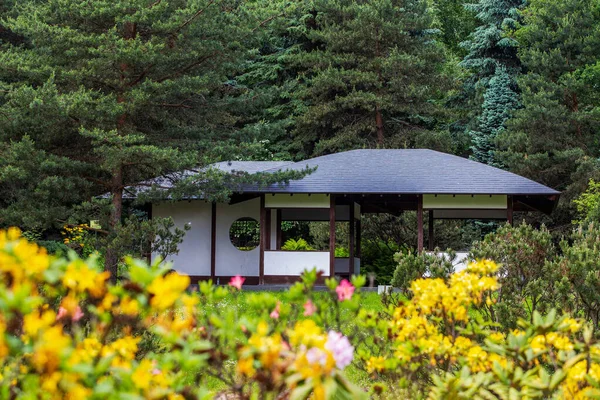 Japonca Pavilion sarı Rhododendron çiçekleri arasında Moskova 'daki Japon bahçesinde (Botanik Bahçesi). Bahar mevsiminin Mayıs sonu!
