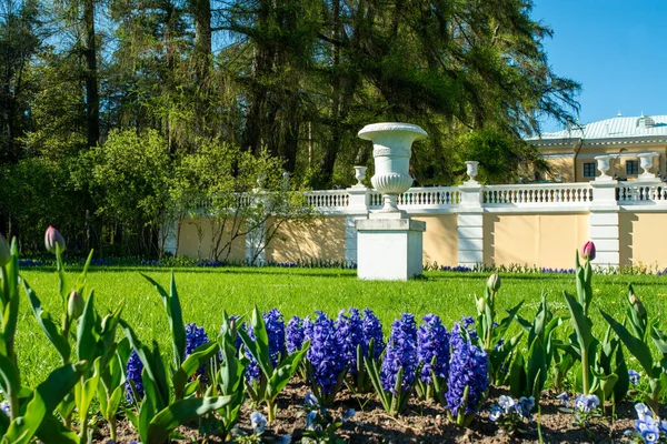 Increíbles Estatuas Parque Archangelskoe Parter Parque Mayo Idílico Finca Arkhangelskoye — Foto de Stock