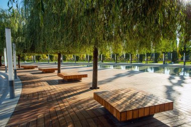 Söğütler, sığ göletler ve ahşap banklarla park yeri Krasnodar (Park Galitskogo olarak da bilinir) Idyllic Sahnesi. Stadyumun yanında.