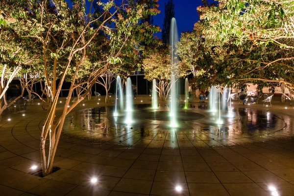 Increíble Fuente Árboles Con Iluminación Nocturna Parque Galitskogo Krasnodar Reflexión —  Fotos de Stock