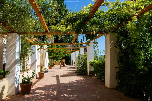 Casa Cuseni Garden Taormina Beginning 20Th Century Idyllic Summer Terrace — Stock Photo, Image