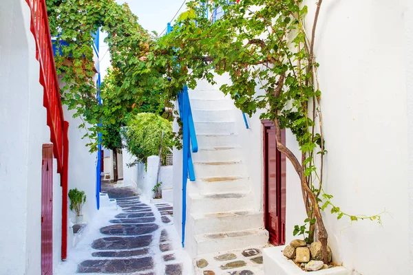 Increíbles Árboles Uva Pequeñas Casas Blancas Mykonos Calle Estrecha Oin — Foto de Stock