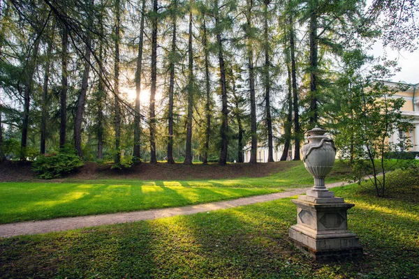 Incrível Parque Público Jardim Arkhangelskoe Perto Moscou Larches Raios Sol — Fotografia de Stock