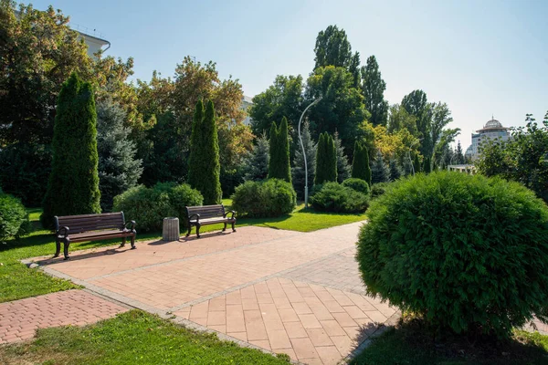 Erstaunlicher Garten Auf Dem Glory Square Guter Sonniger Sommertag Samara — Stockfoto