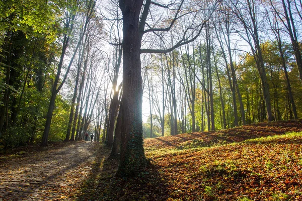 Niesamowity Krajobraz Narodowej Posiadłości Saint Cloud Ludzie Biegają Piechotę Odległość — Zdjęcie stockowe