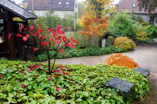 Increíble Vista Del Jardín Japonés Kaiserslautern Colores Rojo Naranja Del —  Fotos de Stock
