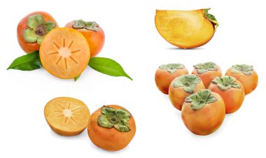 beyaz arkaplanda izole edilmiş olgun hurma ağaçları