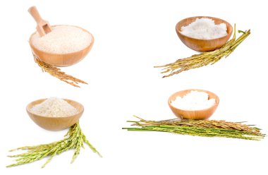 Beyaz pirinç (Thai Jasmine pilavı) ahşap kasede ve değirmensiz pirinç beyaz arka planda izole edilmiş 