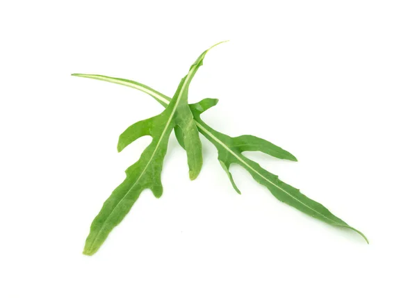 Green Arugula Leave Isolated White Background — Stock Photo, Image
