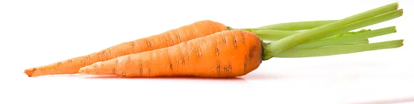 Carrot Isolated White Background — Stock Photo, Image