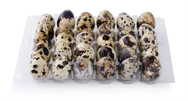 Bıldırcın Yumurtaları Beyaz Bir Sırt Grubunda Izole Edilir — Stok fotoğraf