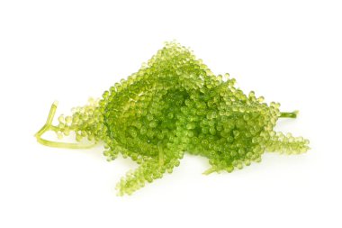 Beyaz arkaplanda deniz yosunu (yeşil havyar)