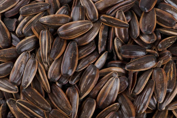 Organic Sunflower Seed Background Uses — Stock Photo, Image