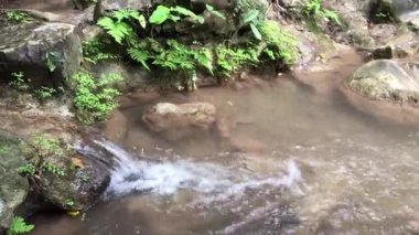 Şelaleler, dereler ve orman yolları