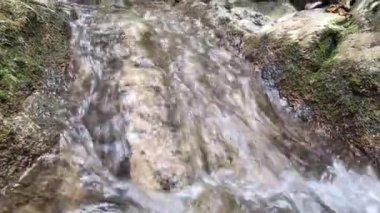 Şelaleler, dereler ve orman yolları