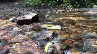 Şelaleler, dereler ve orman yolları