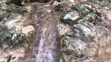 Şelaleler, dereler ve orman yolları