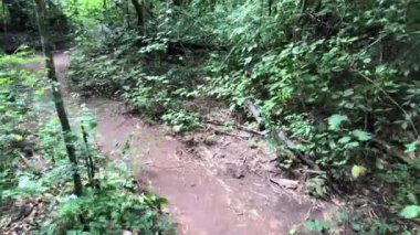 Şelaleler, dereler ve orman yolları