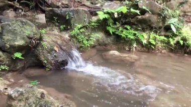 Şelaleler, dereler ve orman yolları