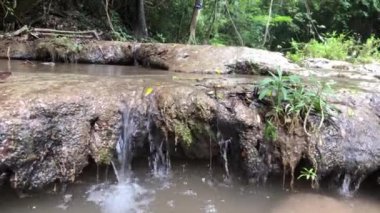 Şelaleler, dereler ve orman yolları