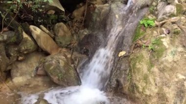 Şelaleler, dereler ve orman yolları