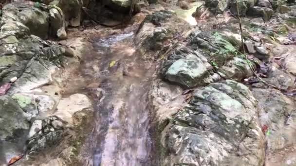 Vízesések Patakok Erdei Utak — Stock videók
