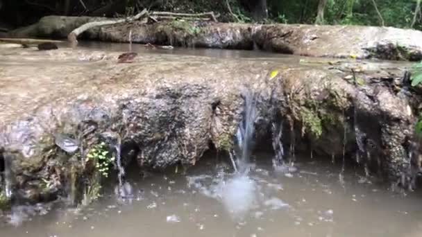 Air Terjun Sungai Dan Jalur Hutan — Stok Video