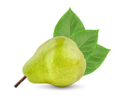 armutlar beyaz arkaplanda izole