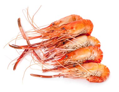 Izgara karides beyaz arkaplan görünümünde izole